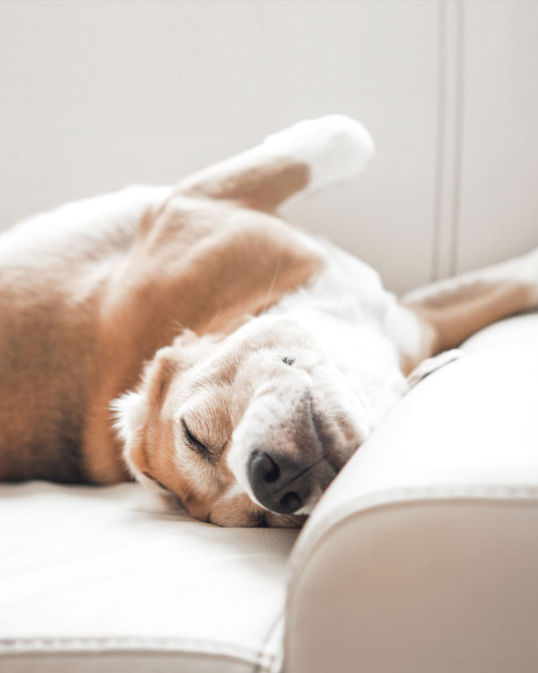 Sorgt f&uuml;r den Erhalt der Bewegungsfreude