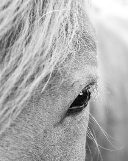 F&uuml;r die dauerhafte Anwendung
