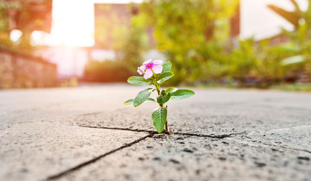 Immunsystem st&auml;rken: Studien und Tipps