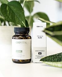 Gesund abnehmen mit der richtigen Unterst&uuml;tzung