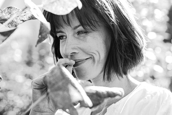 Premium Cannabidiol für ein harmonisches Gleichgewicht Premium Cannabidiol für ein harmonisches Gleichgewicht