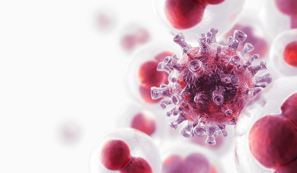 Das Immunsystem erkennt Angreifer und bek&auml;mpft diese