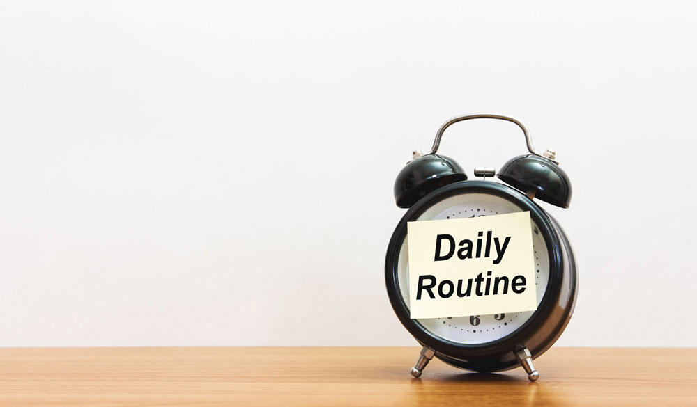 Meine CBD Wellness Routine Meine CBD Wellness Routine