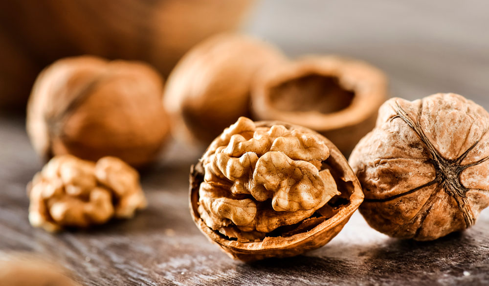 Omega 3 Fetts&auml;uren &ndash; Nahrung f&uuml;rs Gehirn