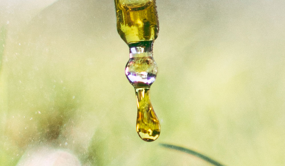 Was ist besser, Hanf&ouml;l oder CBD &Ouml;l?